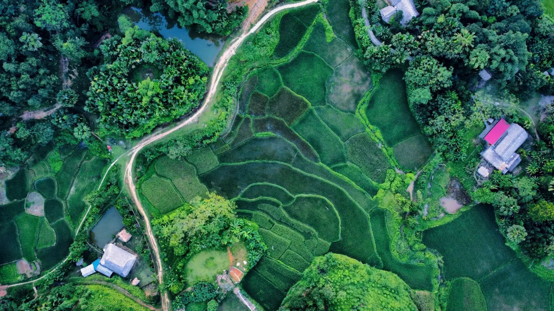Preparing Your Trip to Vietnam: The Complete 2026 Guide